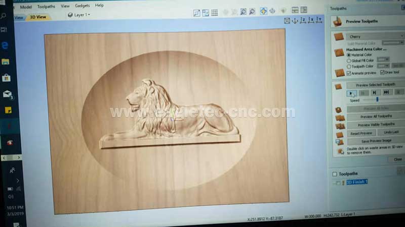 customer programming a lion relief